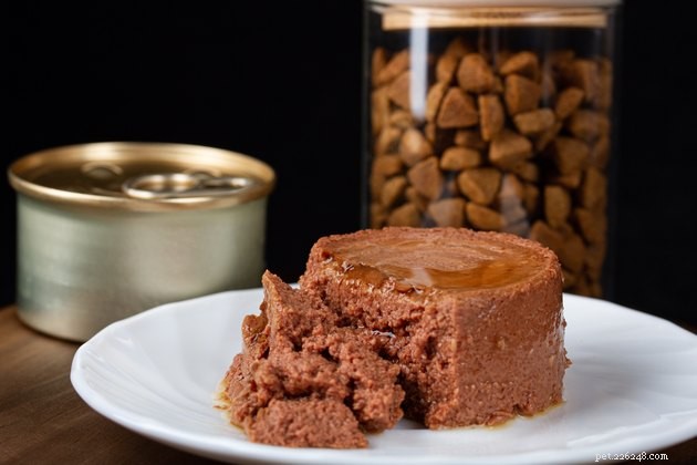 Top 2022 Kitten Food Guide: Best Brands for Healthy Growth