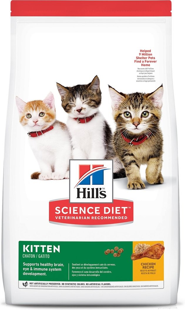 Top 2022 Kitten Food Guide: Best Brands for Healthy Growth