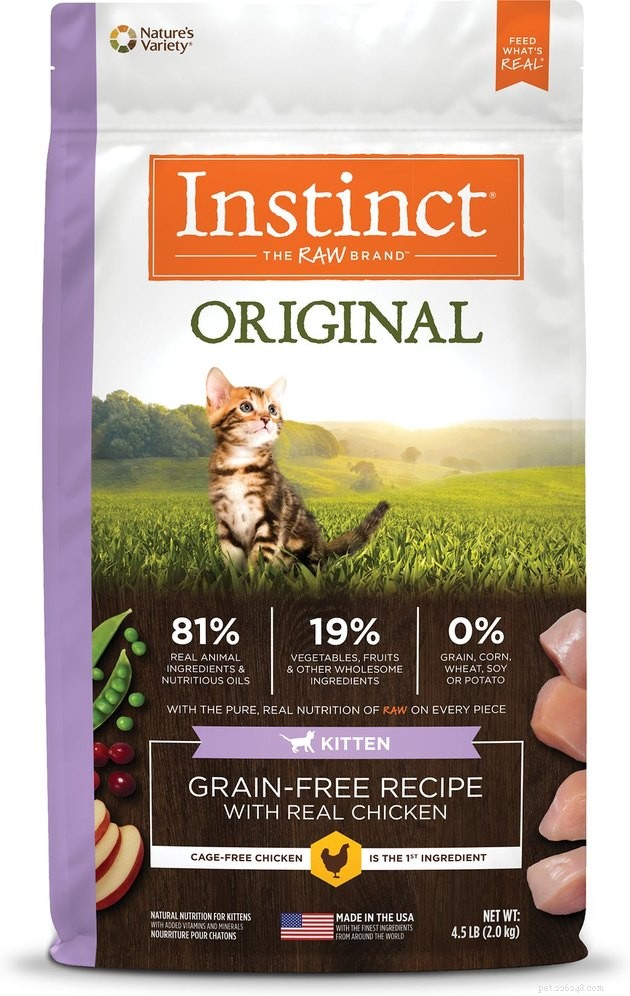 Top 2022 Kitten Food Guide: Best Brands for Healthy Growth