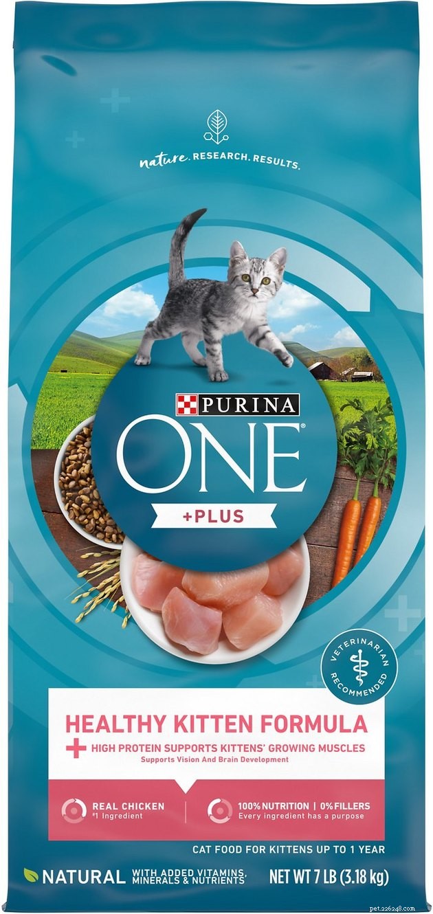 Top 2022 Kitten Food Guide: Best Brands for Healthy Growth