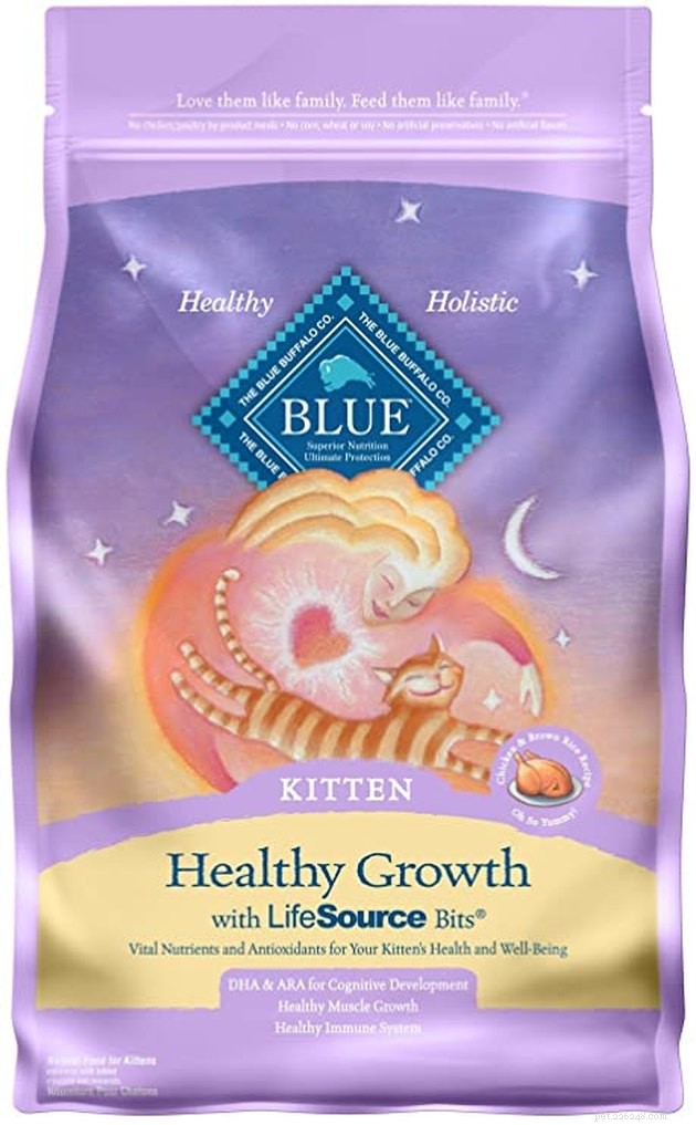 Top 2022 Kitten Food Guide: Best Brands for Healthy Growth