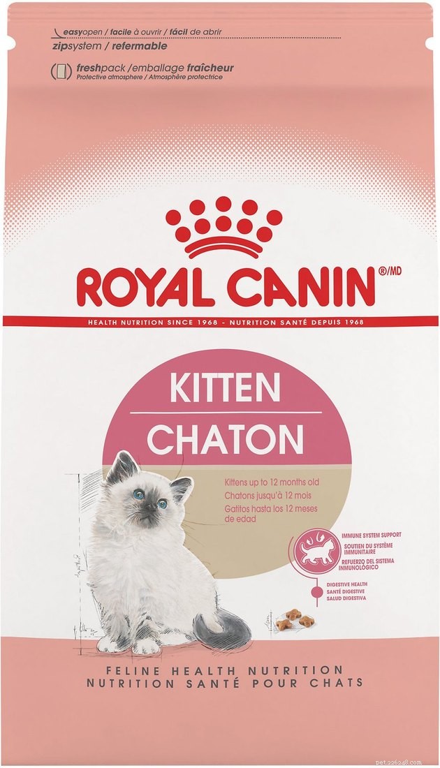 Top 2022 Kitten Food Guide: Best Brands for Healthy Growth