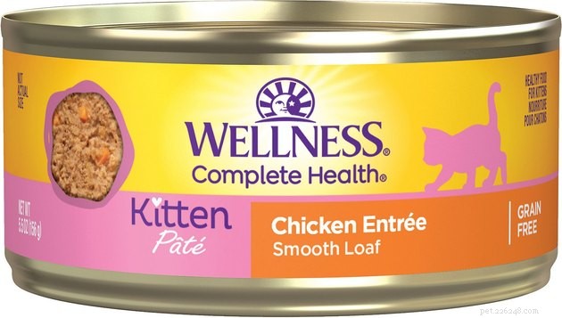 Top 2022 Kitten Food Guide: Best Brands for Healthy Growth