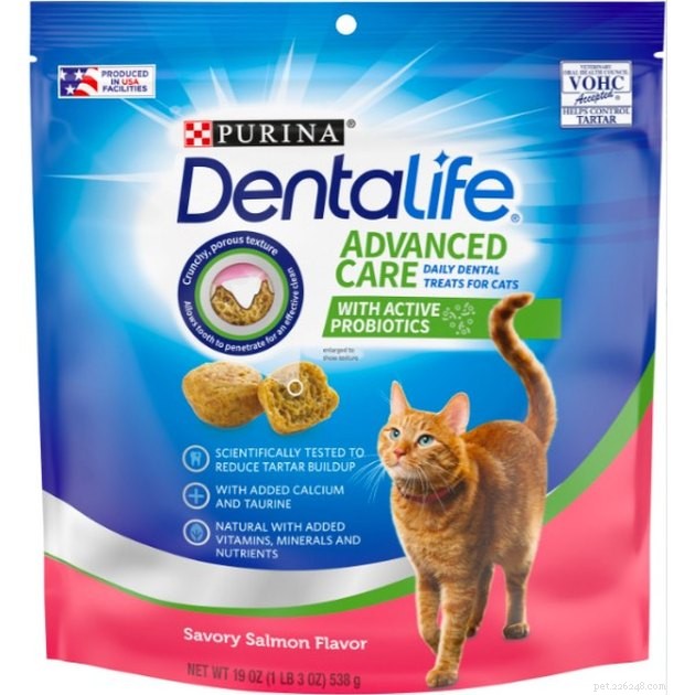 2022 s Best Cat Dental Treats: Promote Healthy Teeth & Gums