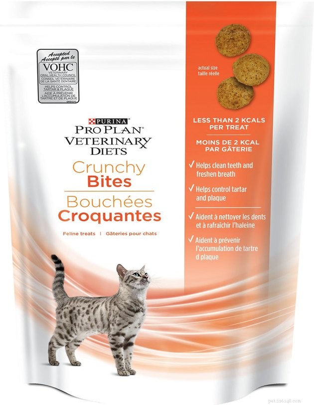 2022 s Best Cat Dental Treats: Promote Healthy Teeth & Gums