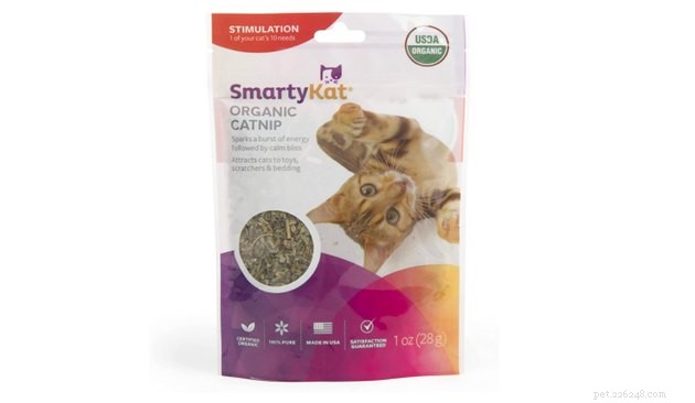 Top Catnip Products of 2022: A Trusted Guide for Your Feline Friend