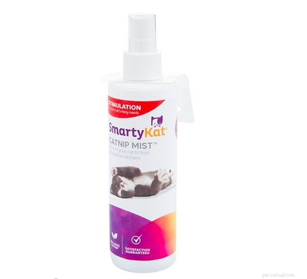 Top Catnip Products of 2022: A Trusted Guide for Your Feline Friend
