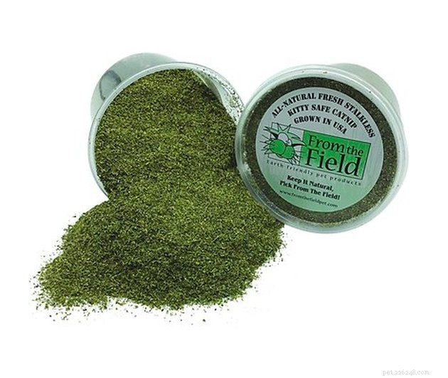 Top Catnip Products of 2022: A Trusted Guide for Your Feline Friend
