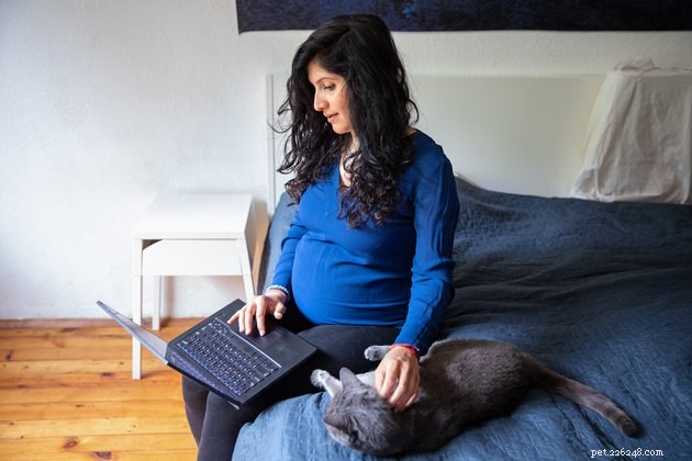 Do Cats Detect Pregnancy? How Their Behavior Changes Toward Expectant Parents