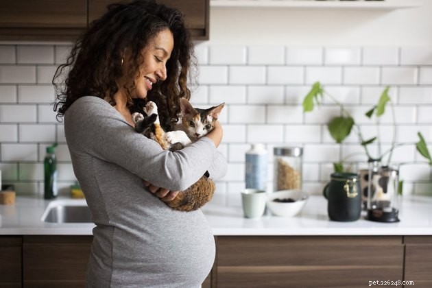 Do Single Women Really Love Cats More? Debunking the Myth