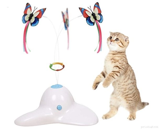 Top Interactive Cat Toys of 2022: Boost Your Cat’s Play & Stimulation