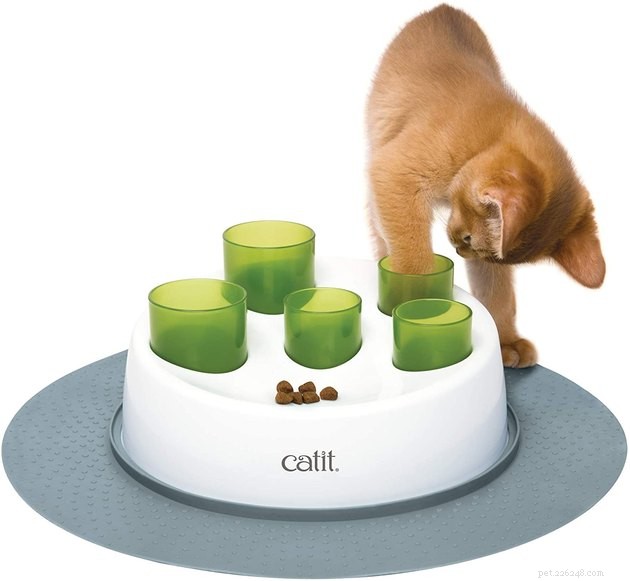 Top Interactive Cat Toys of 2022: Boost Your Cat’s Play & Stimulation