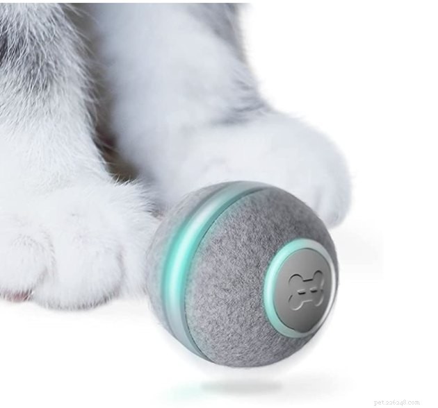 Top Interactive Cat Toys of 2022: Boost Your Cat’s Play & Stimulation