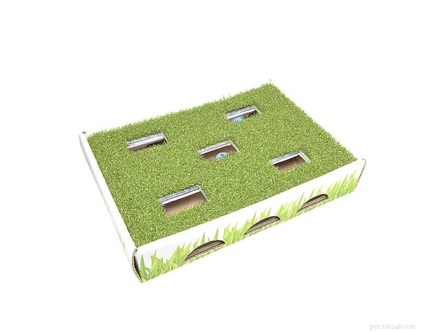 Top Interactive Cat Toys of 2022: Boost Your Cat’s Play & Stimulation
