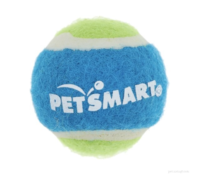 Top 2022 Cat Ball Toys: Engaging, Safe, and Playful