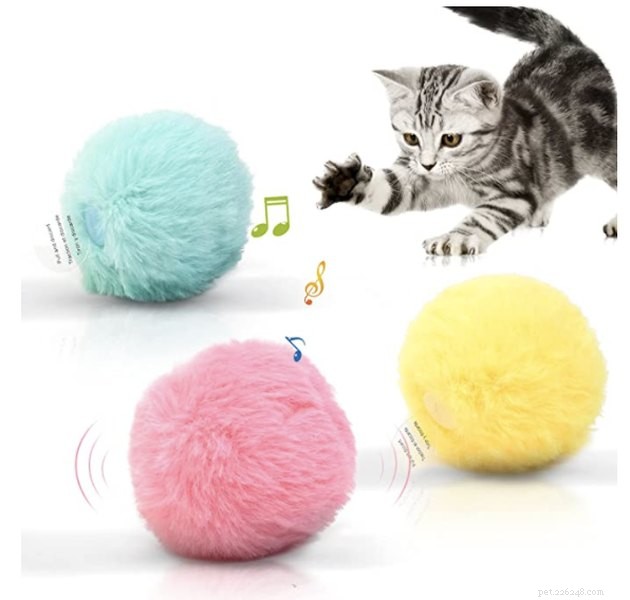 Top 2022 Cat Ball Toys: Engaging, Safe, and Playful