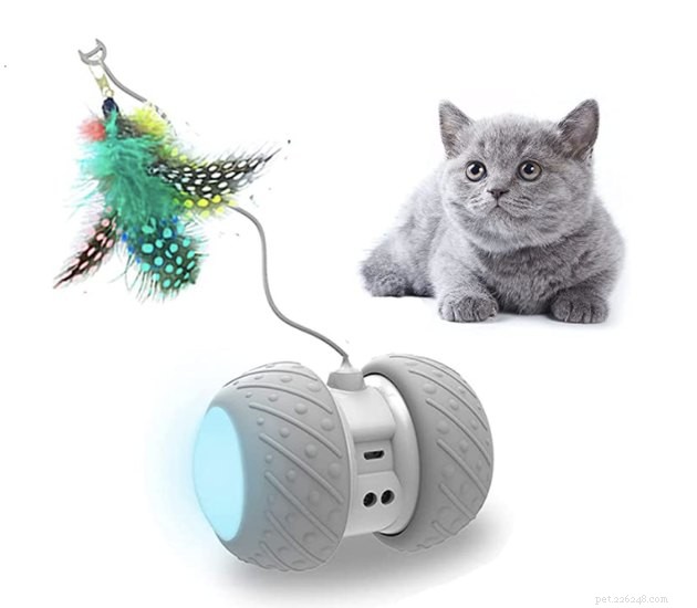Best Cat Wands & Teaser Toys 2022: Expert‑Chosen, High‑Quality Picks