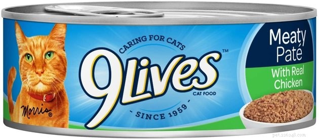 Top 2022 Diabetic Cat Food Picks: Healthy, Safe, & Delicious