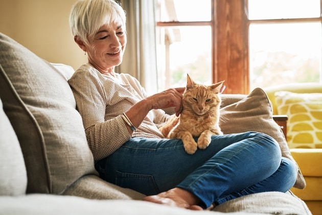Top Fish Oil Supplements for Cats: 2024 Expert Review