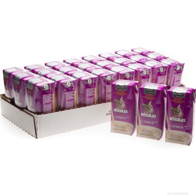 Top Kitten Milk Replacers for 2022: Expert Guide