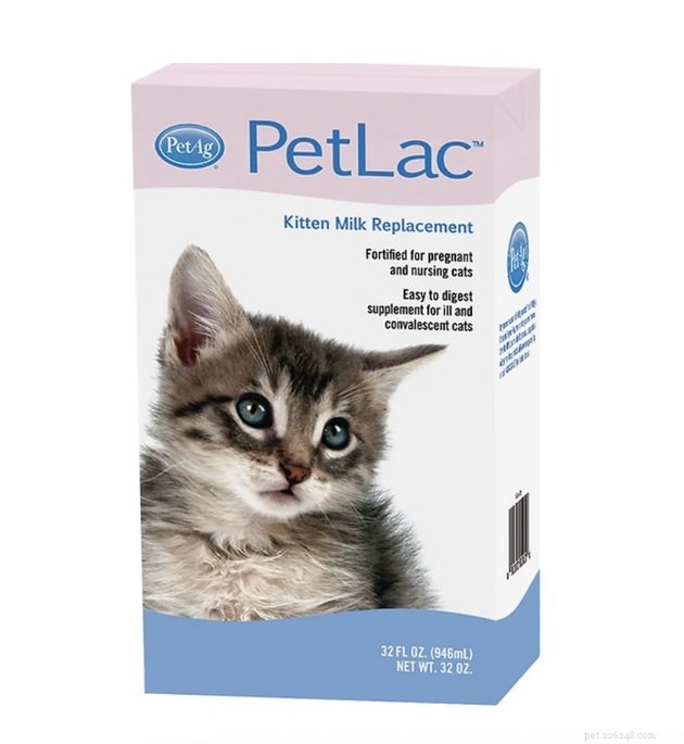 Top Kitten Milk Replacers for 2022: Expert Guide