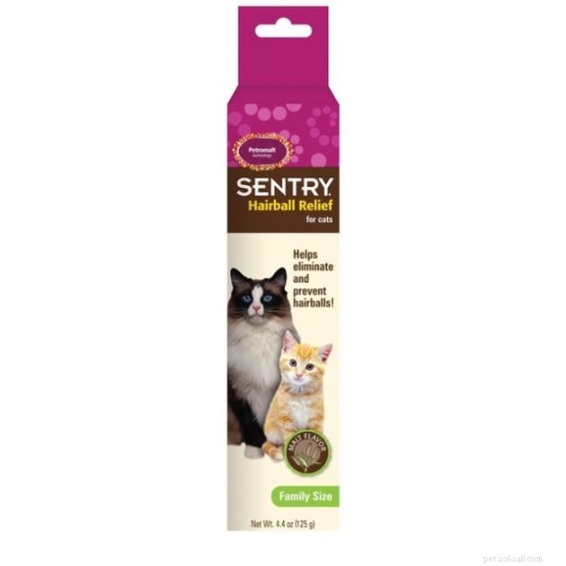 Top Cat Hairball Remedies: 2022 s Most Effective Solutions