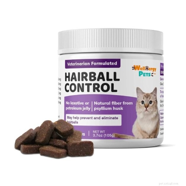 Top Cat Hairball Remedies: 2022 s Most Effective Solutions