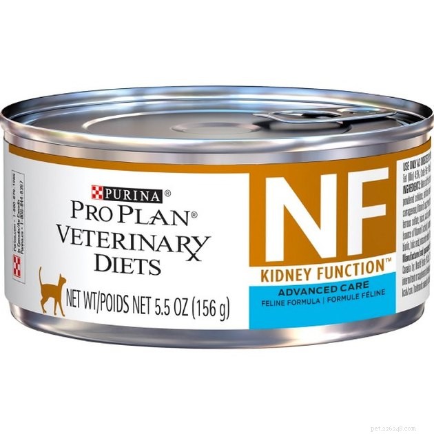 Expert‑Approved Cat Foods for Kidney Health – 2022 Guide