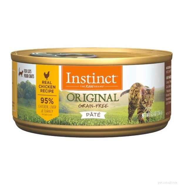 Top Allergy‑Friendly Cat Foods of 2022: Expert‑Recommended Choices