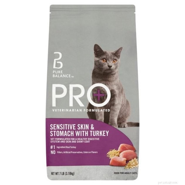 Top Allergy‑Friendly Cat Foods of 2022: Expert‑Recommended Choices