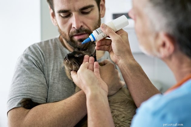 Top Cat Eye Cleaners 2022: Expert Guide & Reviews