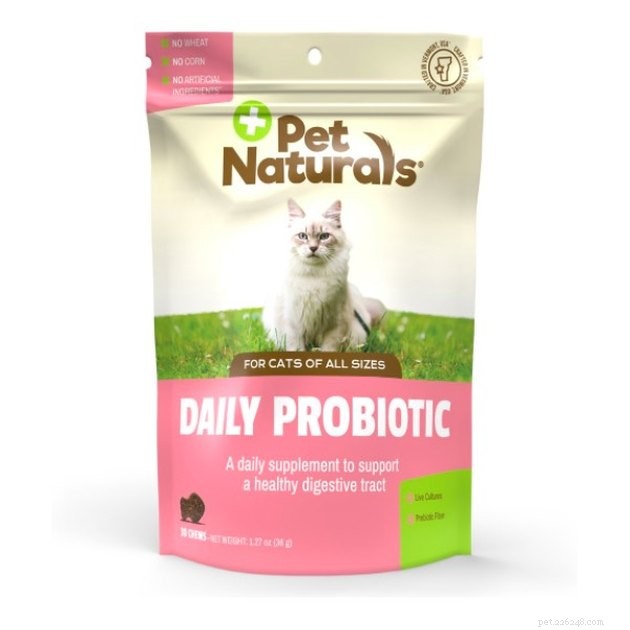 Top Cat Probiotic Supplements for 2022: Boost Digestive Health & Wellness