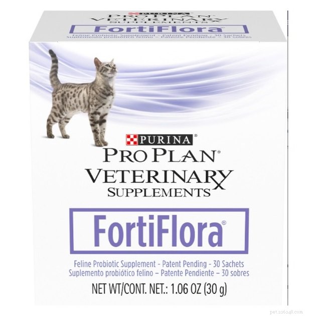 Top Cat Probiotic Supplements for 2022: Boost Digestive Health & Wellness