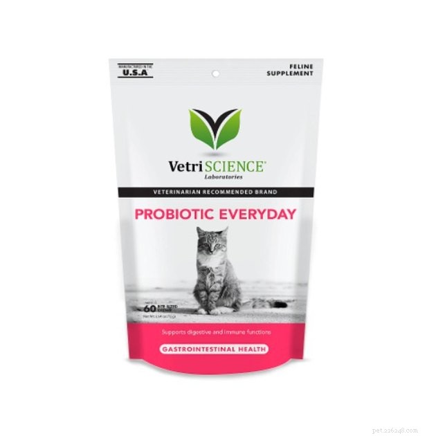 Top Cat Probiotic Supplements for 2022: Boost Digestive Health & Wellness