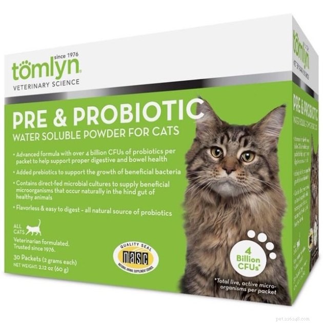 Top Cat Probiotic Supplements for 2022: Boost Digestive Health & Wellness
