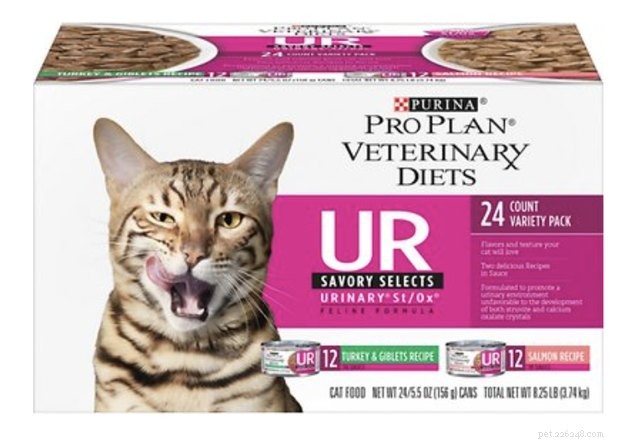 Top Cat Food for Urinary Health: 2022’s Best Choices