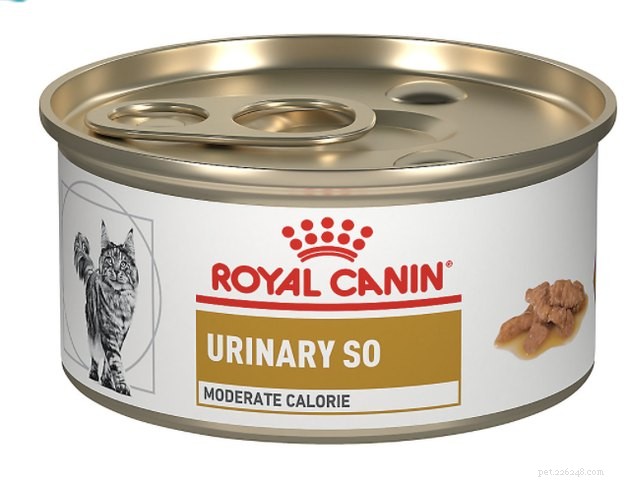 Top Cat Food for Urinary Health: 2022’s Best Choices