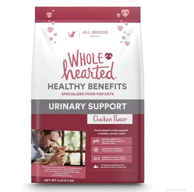 Top Cat Food for Urinary Health: 2022’s Best Choices