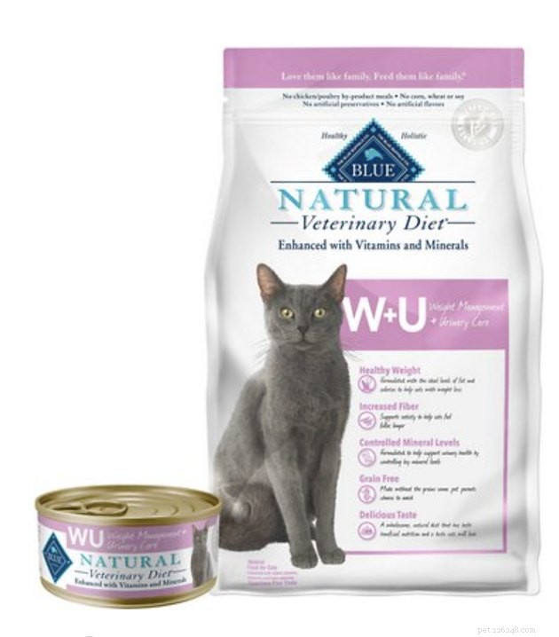 Top Cat Food for Urinary Health: 2022’s Best Choices