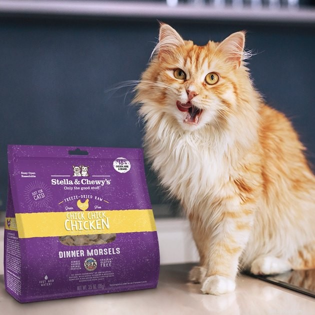 Top Cat Food Brands for Weight Loss: Expert-Approved 2022 Guide