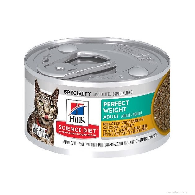 Top Cat Food Brands for Weight Loss: Expert-Approved 2022 Guide
