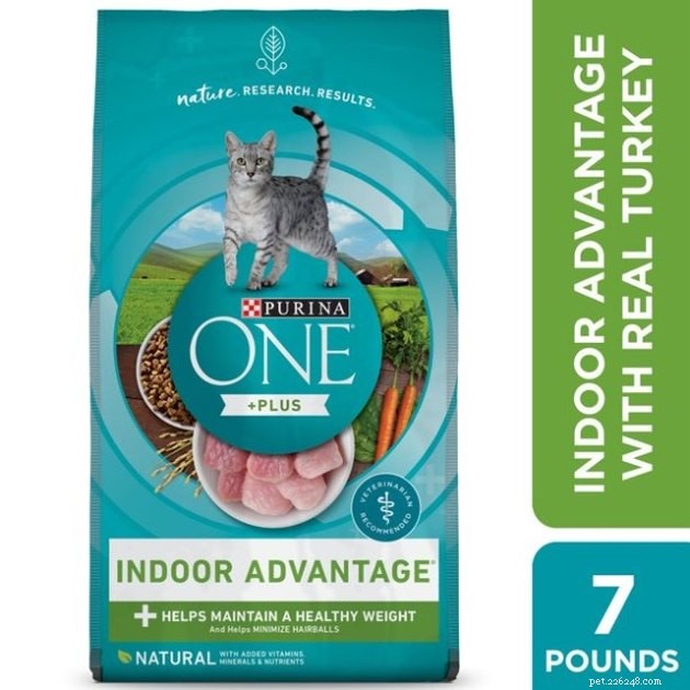 Top Cat Food Brands for Weight Loss: Expert-Approved 2022 Guide