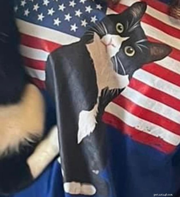 The Hottest Pet Photo Collection: Hilarious Cats & Dogs of the Year