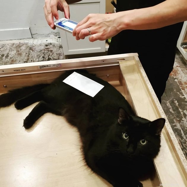 16 Adorable Pet Photos That Instantly Brighten Your Day