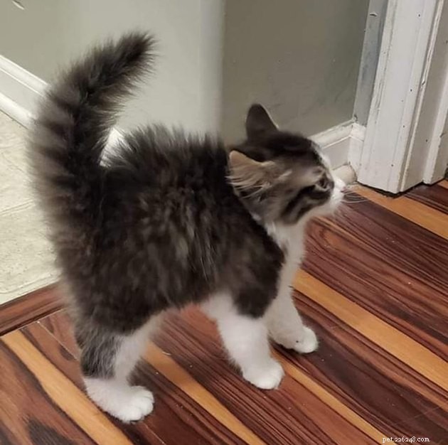 16 Adorable Pet Photos That Instantly Brighten Your Day