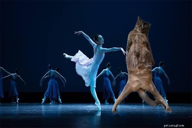 16 Adorable Pet Photos That Instantly Brighten Your Day