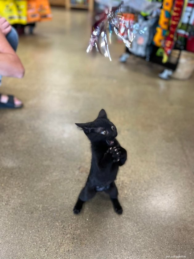 16 Adorable Pet Photos That Instantly Brighten Your Day