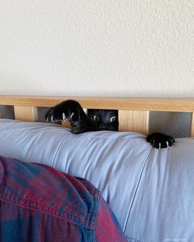 16 Adorable Pet Photos That Instantly Brighten Your Day