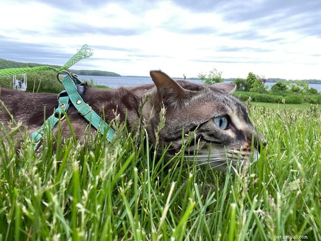 16 Adorable Pet Photos That Instantly Brighten Your Day