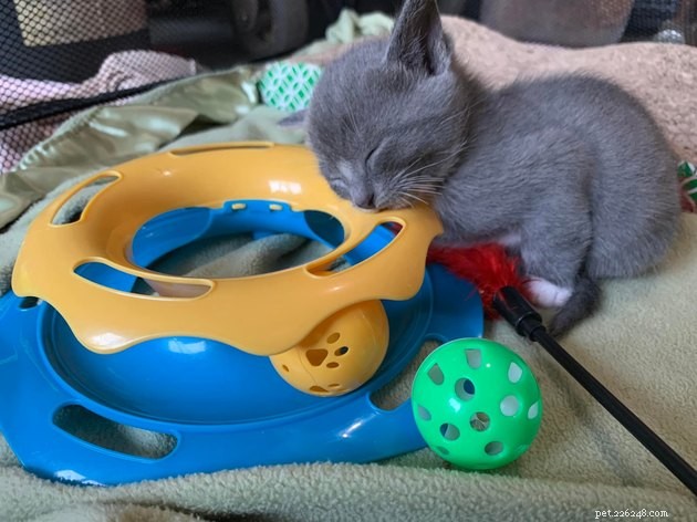 16 Adorable Pet Photos That Will Brighten Your Day